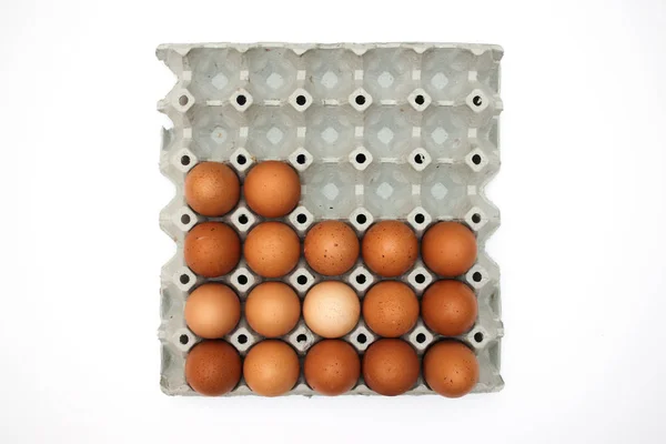 Oeufs Frais Dans Une Boîte Carton — Photo