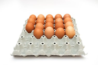 taze yumurta karton kutu içinde 