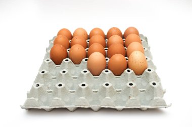 taze yumurta karton kutu içinde 