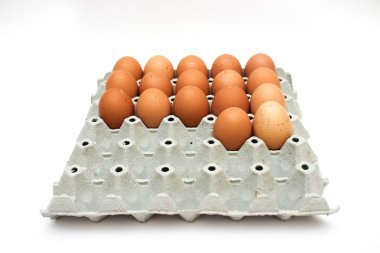 taze yumurta karton kutu içinde 