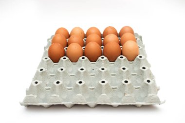 taze yumurta karton kutu içinde 