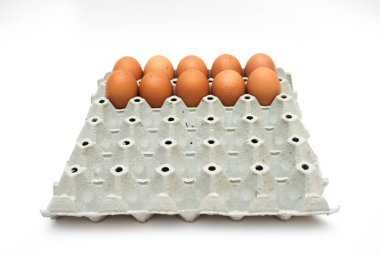 taze yumurta karton kutu içinde 