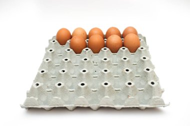 taze yumurta karton kutu içinde 