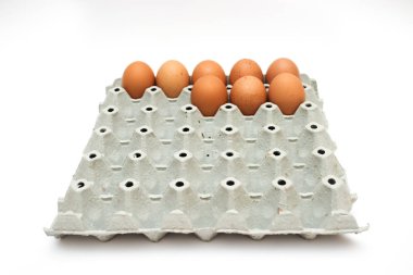 taze yumurta karton kutu içinde 