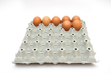 taze yumurta karton kutu içinde 
