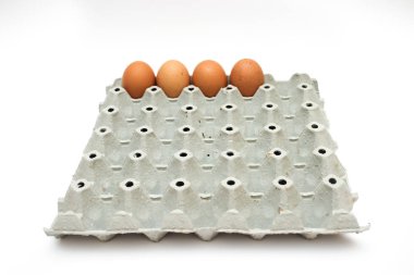 taze yumurta karton kutu içinde 