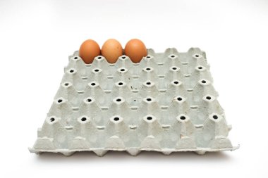 taze yumurta karton kutu içinde 