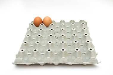 taze yumurta karton kutu içinde 