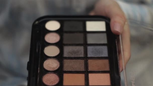 Frau Hält Eine Palette Von Lidschatten Und Schmiert Mit Zweiter — Stockvideo