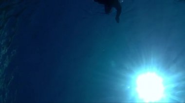 Mavi ve berrak denizde su altında yüzen genç adam