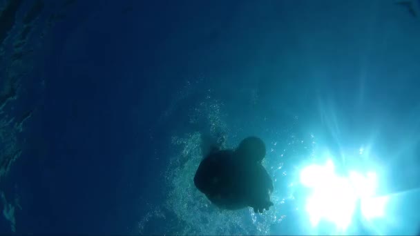 Young Man Dive Blue Sea Catch Camera Hand — Stock Video