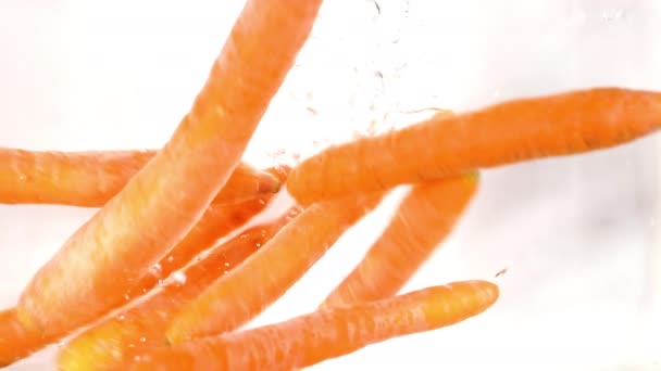 Zanahorias Frescas Orgánicas Caen Agua — Vídeo de stock