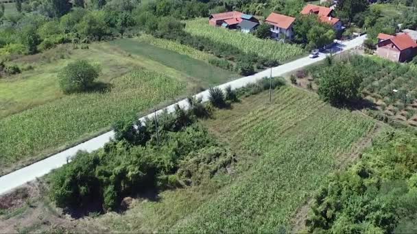 Vzdušné Záběry Jednoho Auta Které Řídí Silnicí Krásnou Krajinou Kolem — Stock video