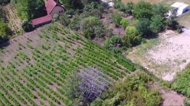 Kırsal alanda güzel manzara ve alan havadan drone görüntüleri