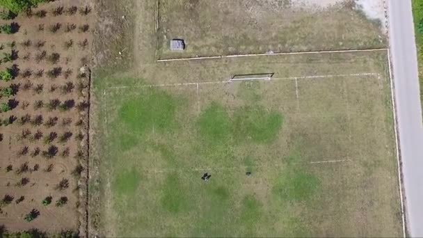 Images Aériennes Drones Beaux Paysages Champs Campagne — Video