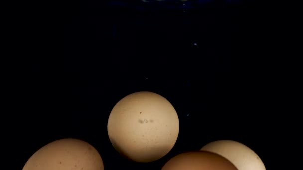 四个鸡蛋在黑色背景下掉进水里 — 图库视频影像