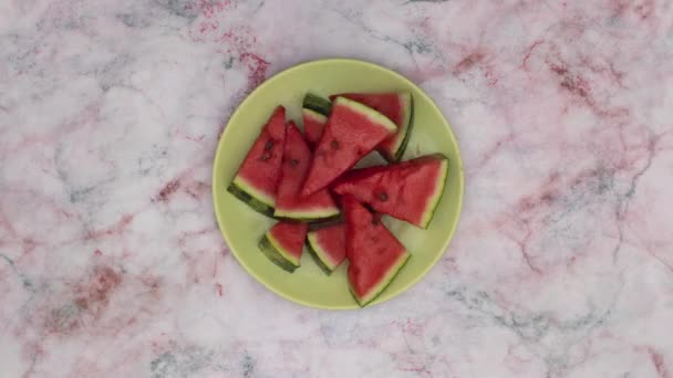 Looping Stop Motion Animation Green Plate Slices Watermelon Moving Circle — Stock Video