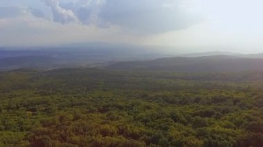 Güzel manzara ve doğa ve yeşil orman havadan drone görüntüleri 
