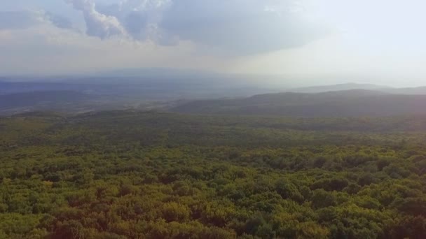 Aereo Drone Filmato Bellissimo Paesaggio Natura Foresta Verde — Video Stock