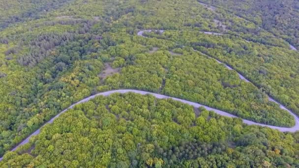 Aerial Drone Beelden Van Prachtige Bos Natuur Lege Weg Het — Stockvideo