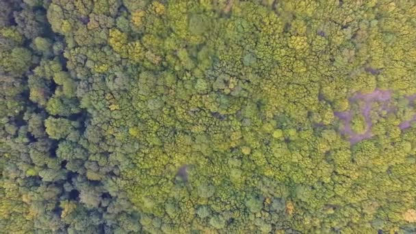 空中无人机镜头美丽的风景和自然和绿色森林 — 图库视频影像