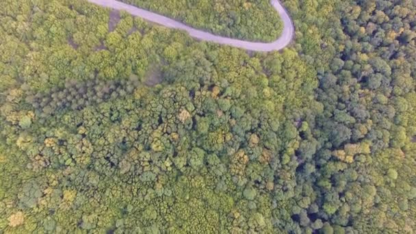 Aerial Drone Beelden Van Prachtige Bos Natuur Lege Weg Het — Stockvideo