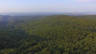 Güzel manzara ve doğa ve yeşil orman havadan drone görüntüleri 