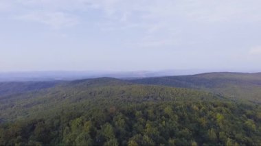 Güzel manzara ve doğa ve yeşil orman havadan drone görüntüleri 