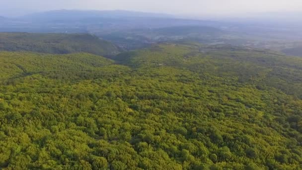 Aereo Drone Filmato Bellissimo Paesaggio Natura Foresta Verde — Video Stock