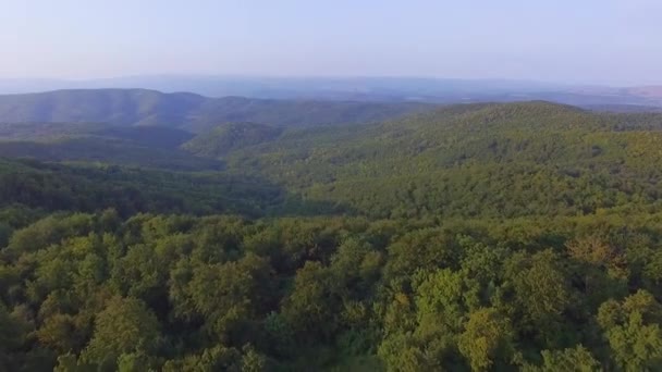 美しい風景と自然と緑の森の空中ドローン映像 — ストック動画