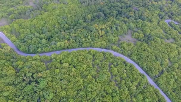 Imagens Aéreas Drone Bela Floresta Natureza Estrada Vazia Meio Floresta — Vídeo de Stock