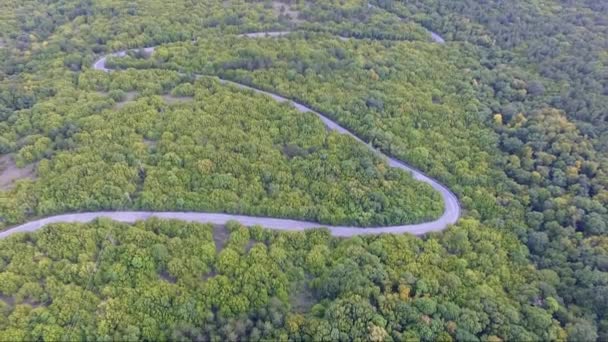 Imagens Aéreas Drone Bela Floresta Natureza Estrada Vazia Meio Floresta — Vídeo de Stock