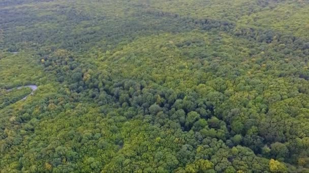 Luchtfoto Van Drone Beelden Van Prachtige Landschap Natuur Groen Bos — Stockvideo