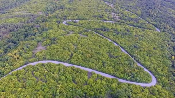 Aerial Drone Beelden Van Prachtige Bos Natuur Lege Weg Het — Stockvideo