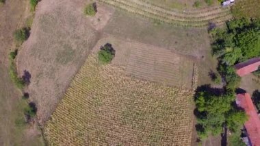 Sırbistan'da küçük bir köy ve güzel doğa ile kırsal havadan drone görüntüleri