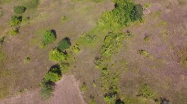 Kırsal ın havadan insansız hava aracı görüntüleri. Ağaçlar ve tarlalar ile güzel manzara 
