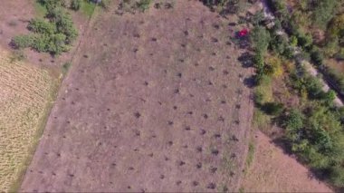 Sırbistan'da küçük bir köy ve güzel doğa ile kırsal havadan drone görüntüleri