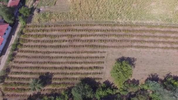 Drohnenaufnahmen Eines Kleinen Dorfes Serbien Und Einer Landschaft Mit Wunderschöner — Stockvideo