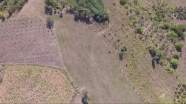 Yaz aylarında kırsal ve manzara havadan drone görüntüleri