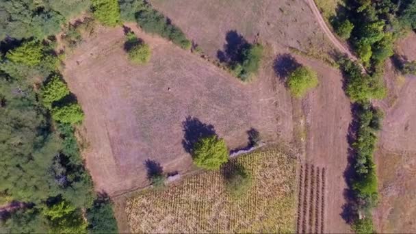 Aereo Drone Filmato Piccolo Villaggio Serbia Campagna Con Una Bella — Video Stock