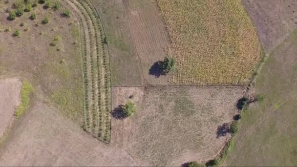 Imagens Aéreas Drones Pequenas Aldeias Sérvia Campo Com Bela Natureza — Vídeo de Stock