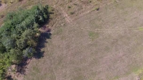 Images aériennes de drones de campagne et de paysage en été 