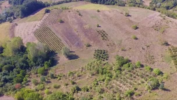 Повітряний Безпілотник Сільській Місцевості Красивий Пейзаж Деревами Полями — стокове відео