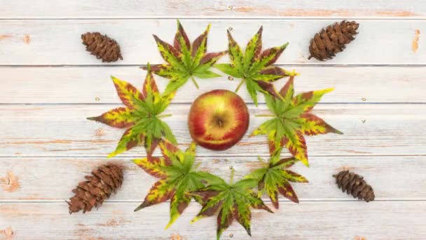 Danse Des Feuilles Cônes Pin Pomme Sur Table Bois Stop — Video