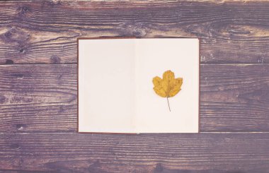 Sonbahar konsepti. Ahşap temalı yapraklar ve detaylarla sonbahar dekorasyonu