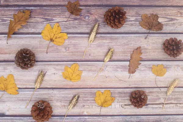 Autumn Concept Autumn Decoration Leaves Details Wooden Theme — Stock Photo, Image