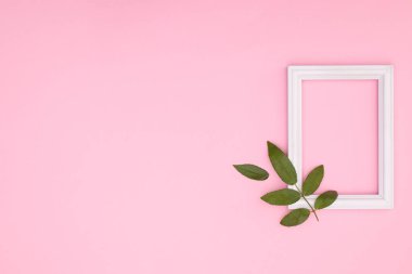 Pembe arkaplanda dekoratif fotoğraf çerçevesi