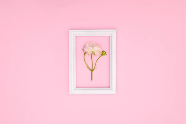 Pembe arkaplanda dekoratif fotoğraf çerçevesi