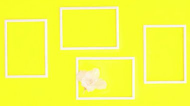 Sarı temalı yaratıcı fotoğraf çerçeveleri. Hareketi durdur 