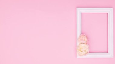 Güzel pembe güller ve pembe temalı yazılar için romantik çerçeveler. Hareketi durdur